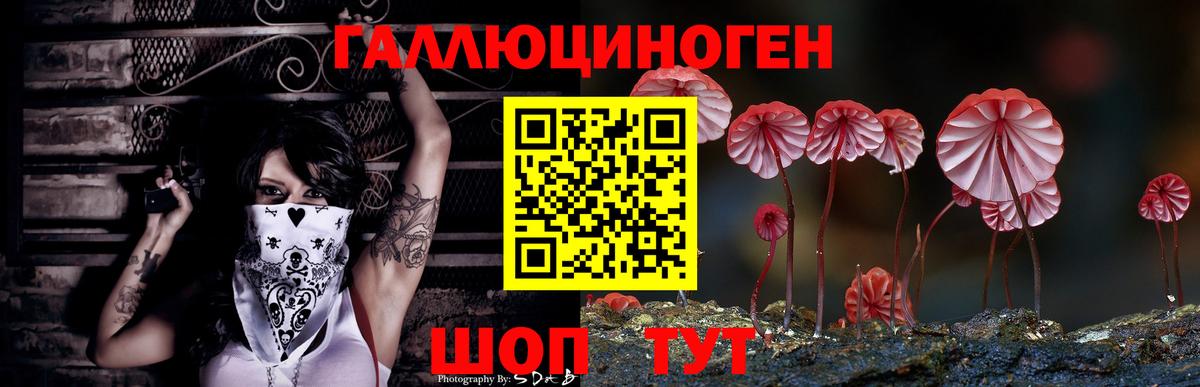 Норильск  Галлюциногенные грибы мицелий  Вход с VPN 